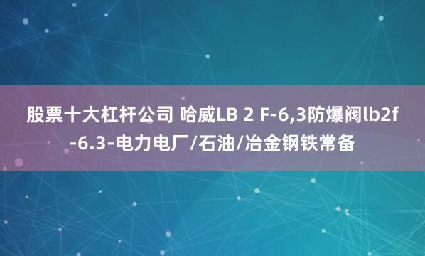 股票十大杠杆公司 哈威LB 2 F-6,3防爆阀lb2f-6.3-电力电厂/石油/冶金钢铁常备
