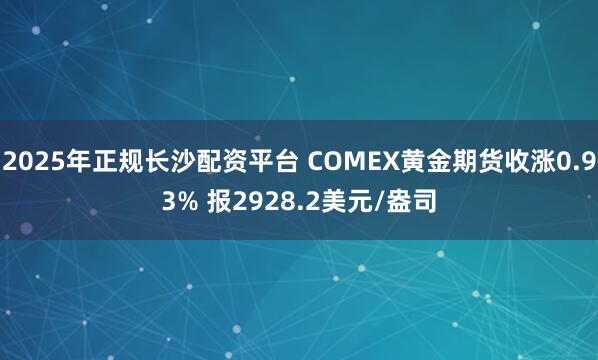 2025年正规长沙配资平台 COMEX黄金期货收涨0.93% 报2928.2美元/盎司