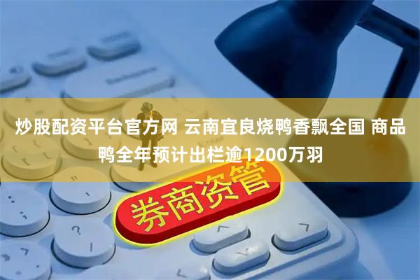 炒股配资平台官方网 云南宜良烧鸭香飘全国 商品鸭全年预计出栏逾1200万羽